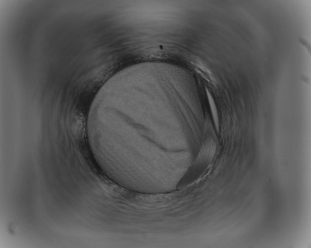 X0000090990029200708301322