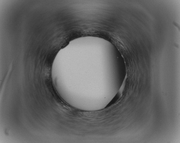 X0000090990033200708301322