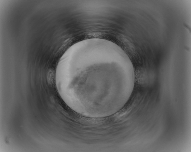 X0000090990036200708301322