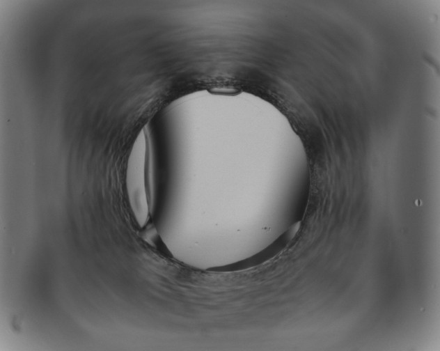 X0000090990037200708301322