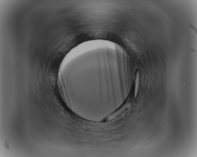 X0000090990039200708301322