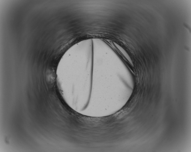 X0000090990040200708301322