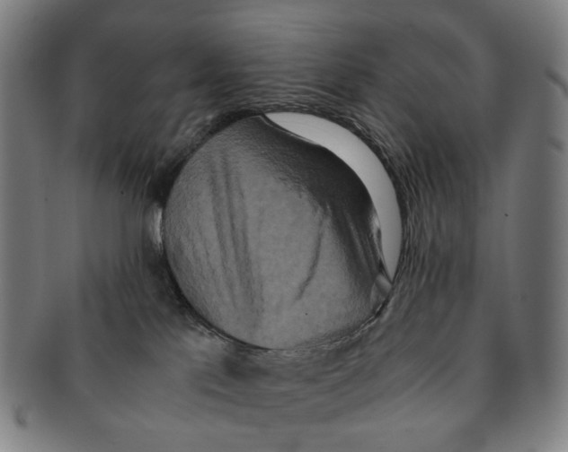 X0000090990041200708301322