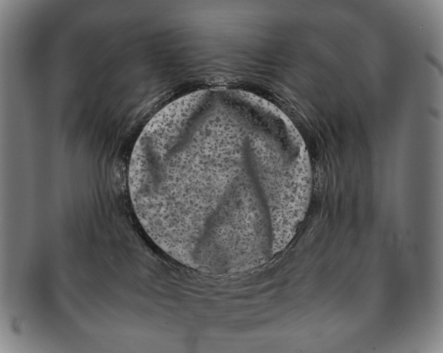 X0000090990043200708301322