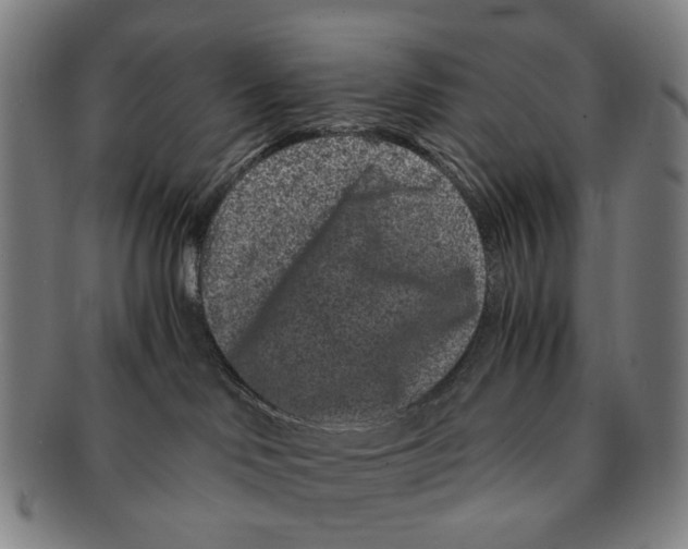 X0000090990046200708301322