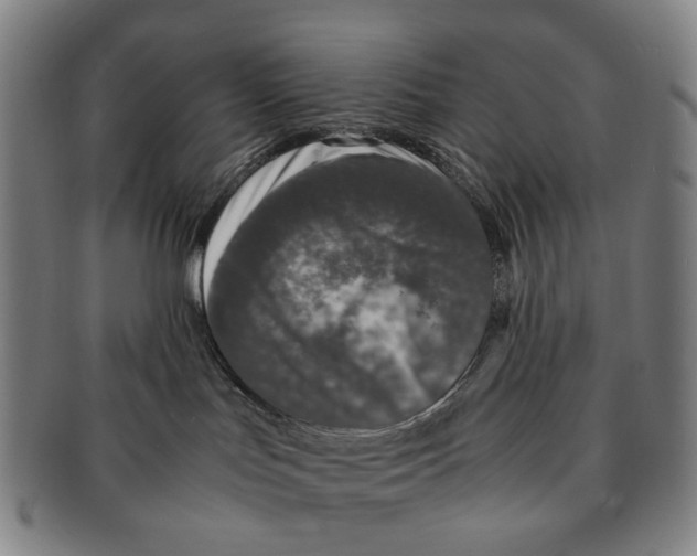 X0000090990047200708301322