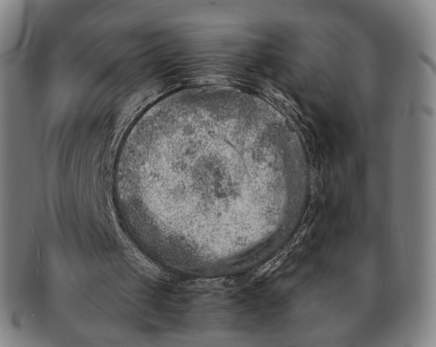 X0000090990049200708301321