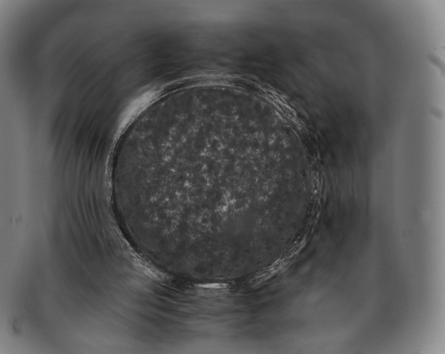 X0000090990053200708301321