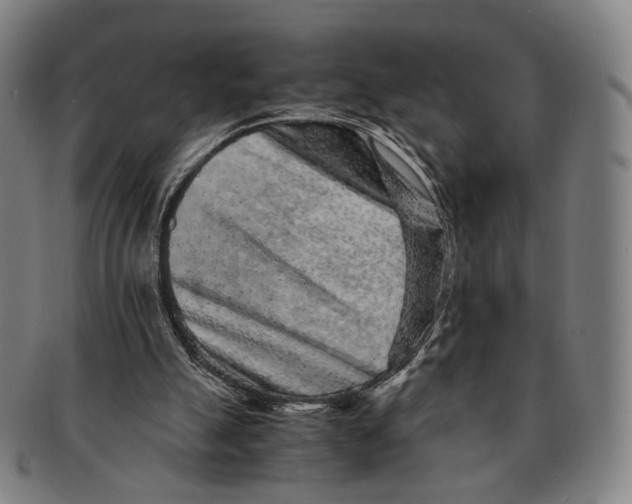 X0000090990055200708301321