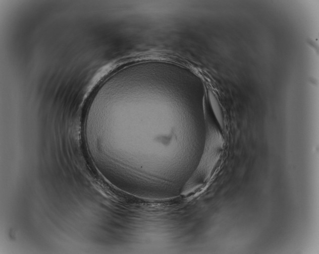 X0000090990056200708301321