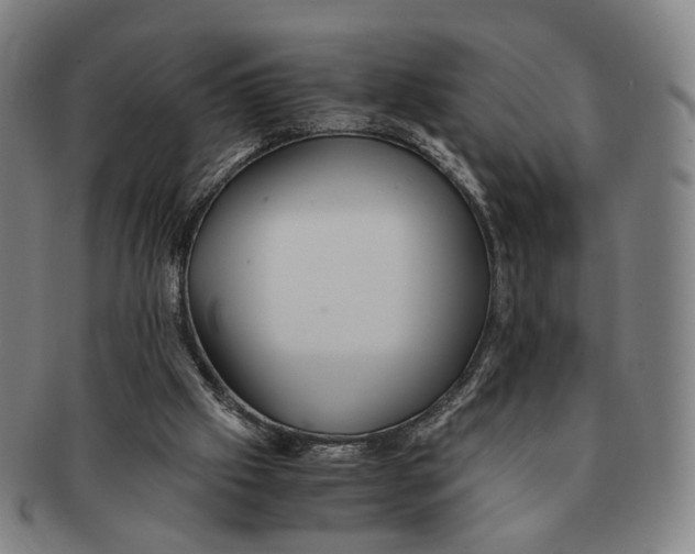 X0000090990057200708301321