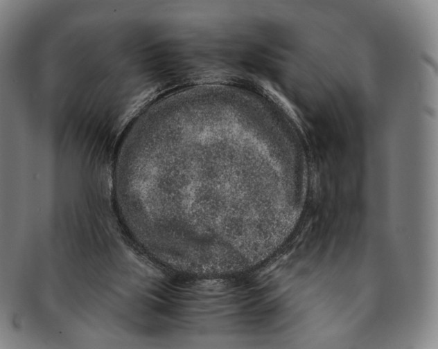 X0000090990059200708301321