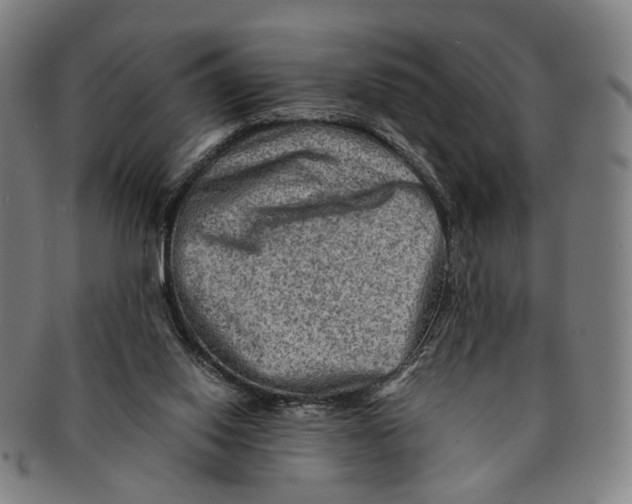 X0000090990062200708301321