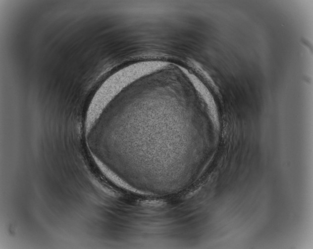 X0000090990063200708301321