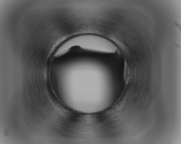 X0000090990064200708301321