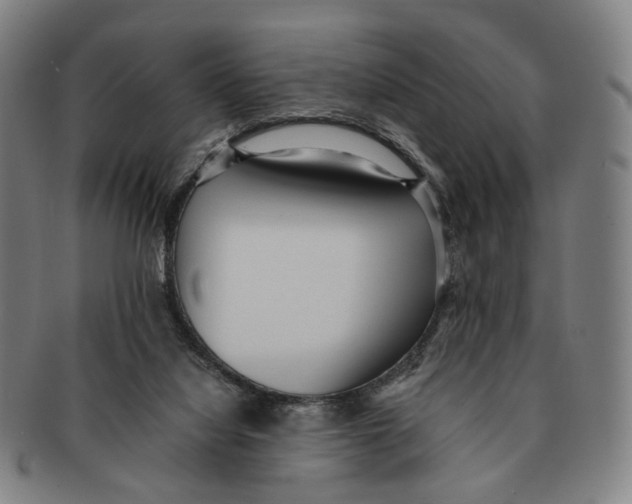 X0000090990068200708301321