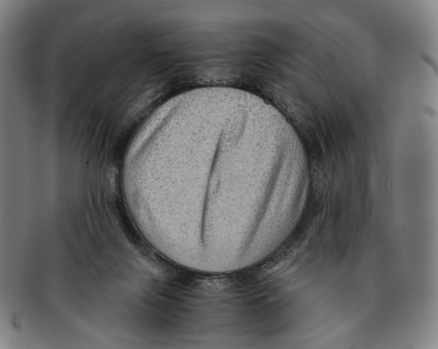 X0000090990071200708301321