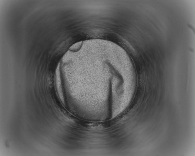 X0000090990073200708301321