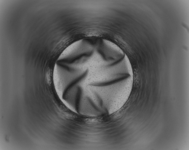 X0000090990074200708301321