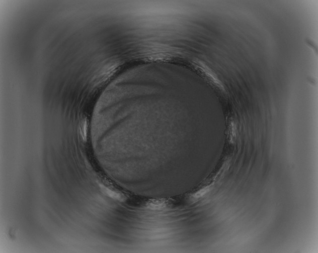 X0000090990076200708301321