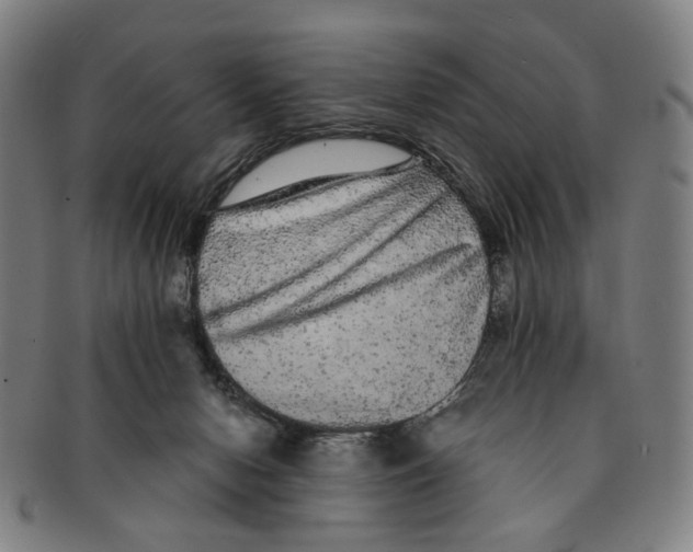 X0000090990078200708301321