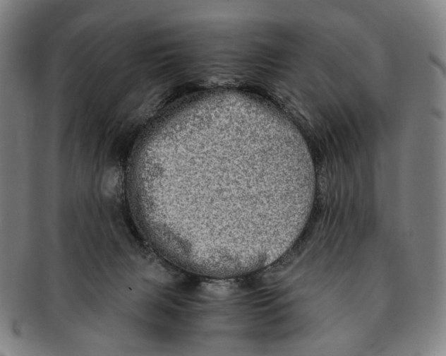 X0000090990079200708301321