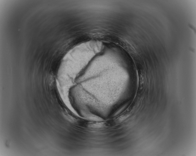 X0000090990081200708301321