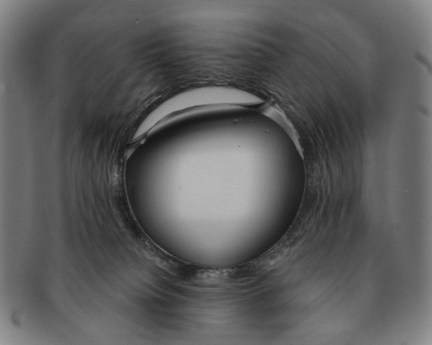 X0000090990084200708301322