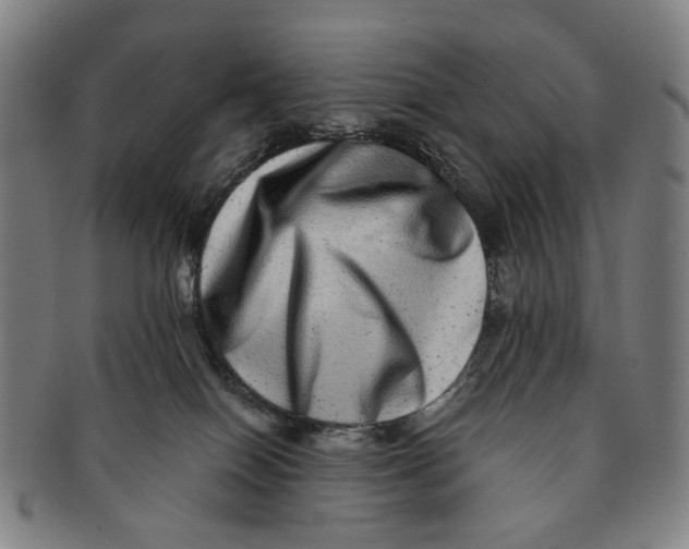 X0000090990086200708301322