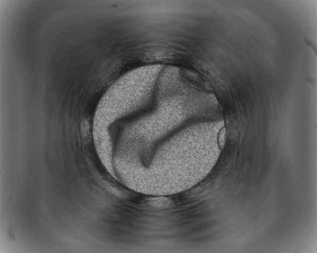 X0000090990087200708301322