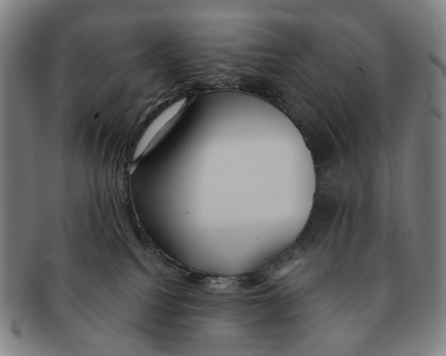 X0000090990088200708301322