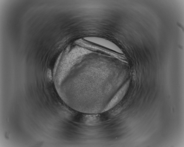 X0000090990089200708301322