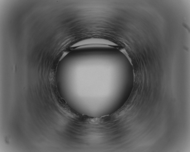 X0000090990092200708301322