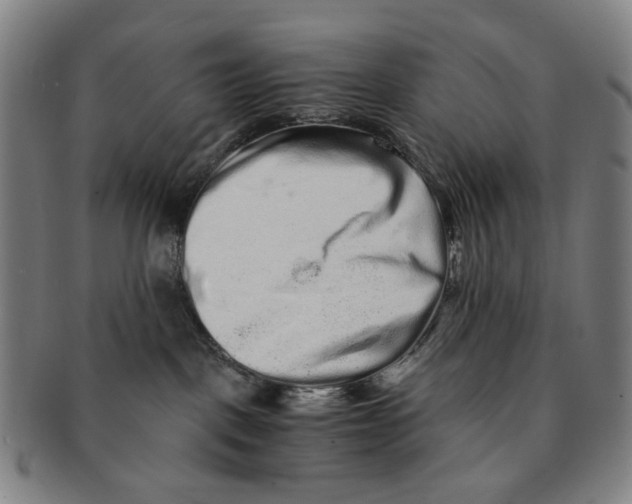 X0000090990093200708301322