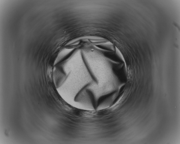 X0000090990094200708301322