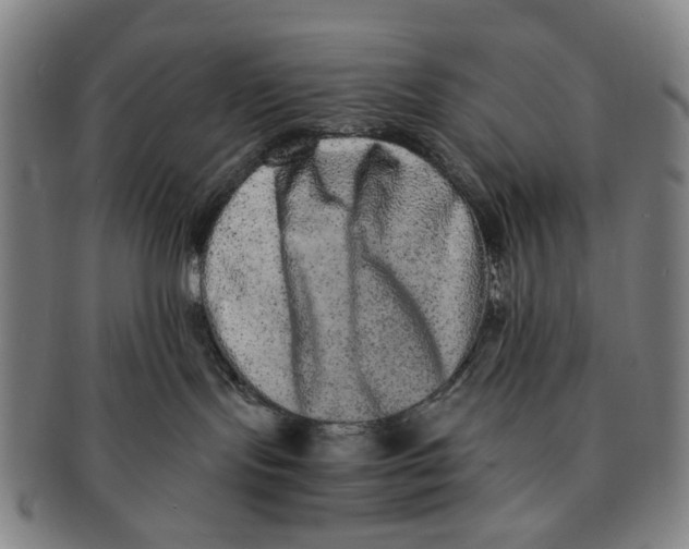 X0000090990095200708301322