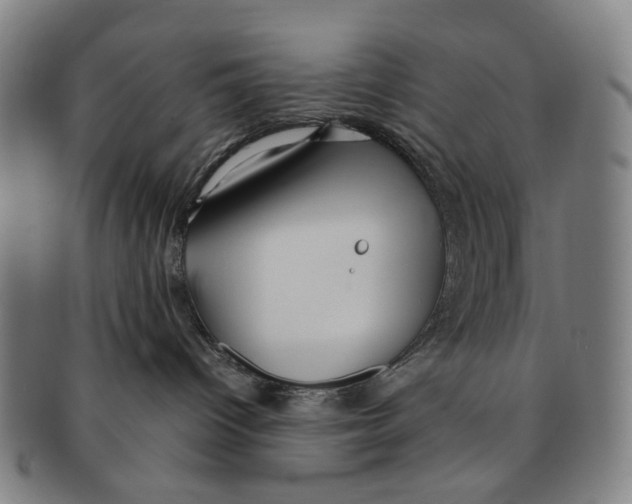 X0000090990096200708301322