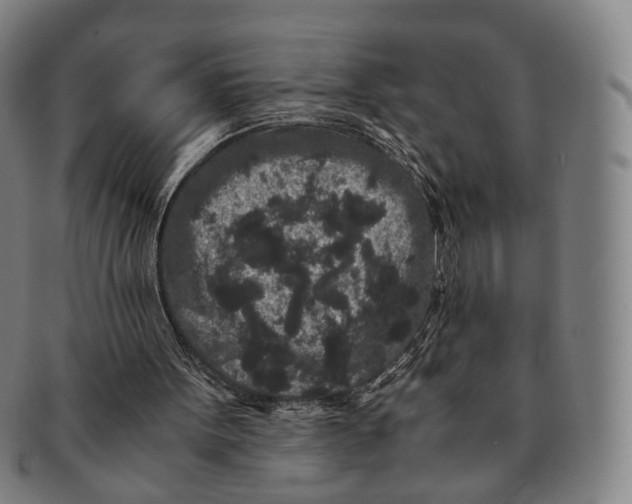 X0000090990099200708301321