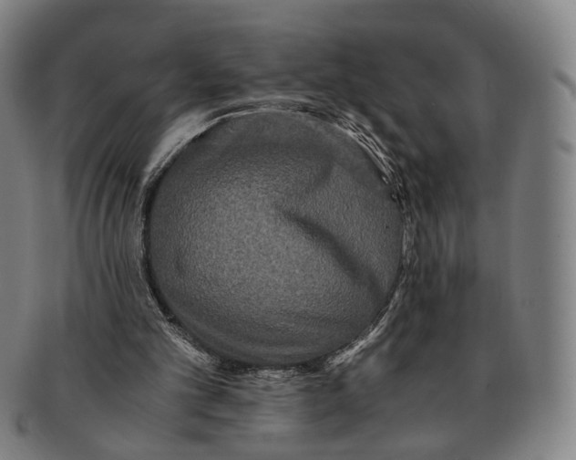 X0000090990101200708301321