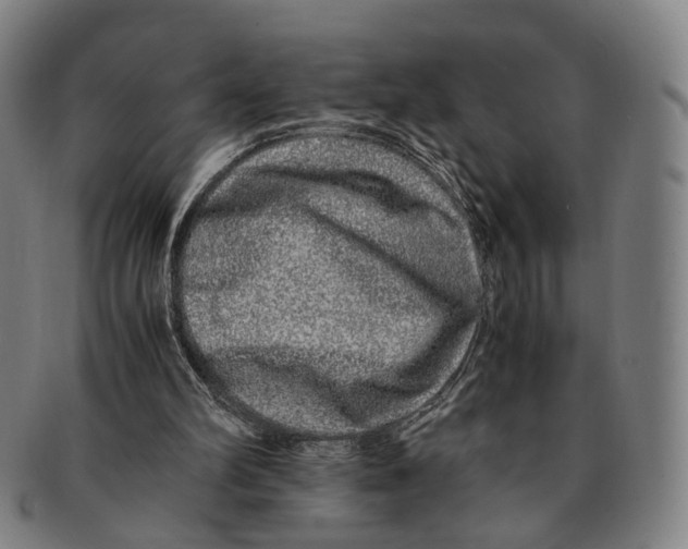 X0000090990102200708301321