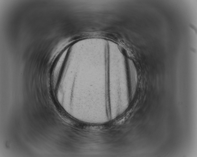 X0000090990103200708301321