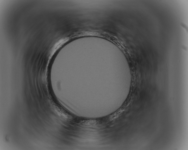 X0000090990104200708301321