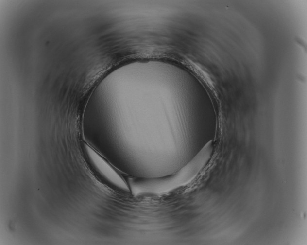 X0000090990105200708301321