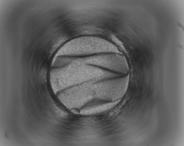 X0000090990106200708301321