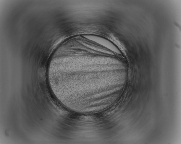 X0000090990107200708301321