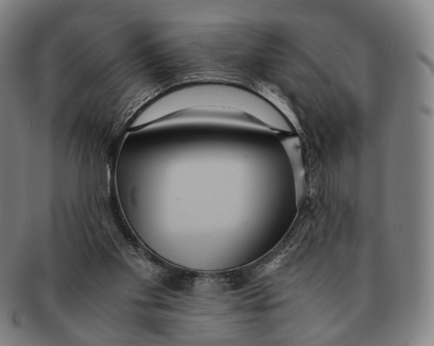 X0000090990109200708301321