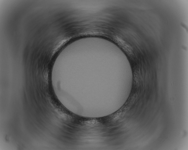 X0000090990112200708301321