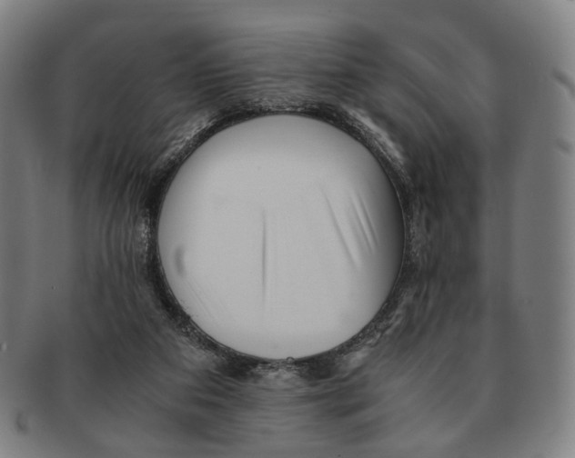 X0000090990113200708301321