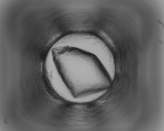 X0000090990115200708301321