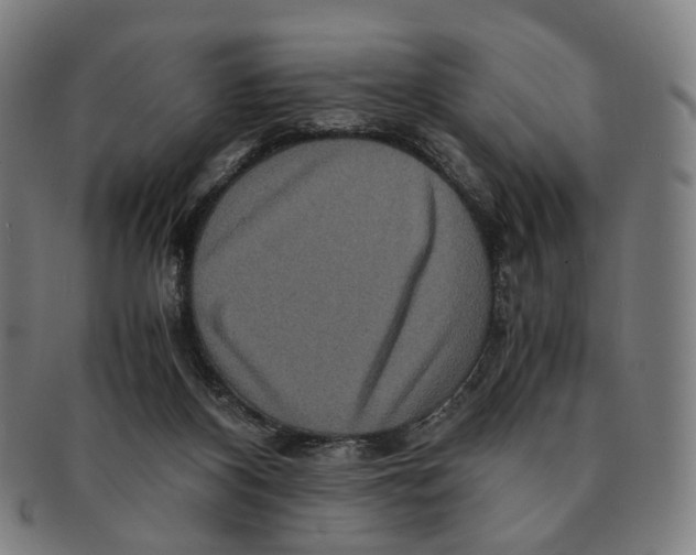 X0000090990116200708301321